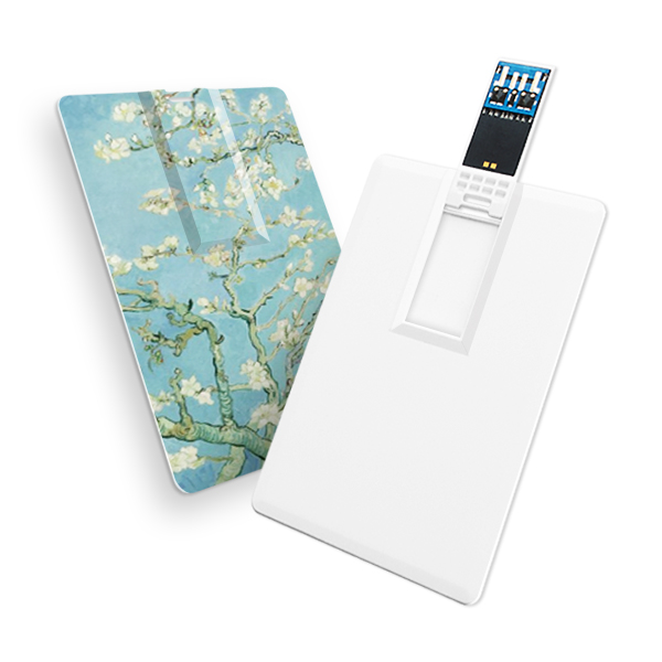 ���� CX03 ī���� 3.0 USB �޸� 256GB